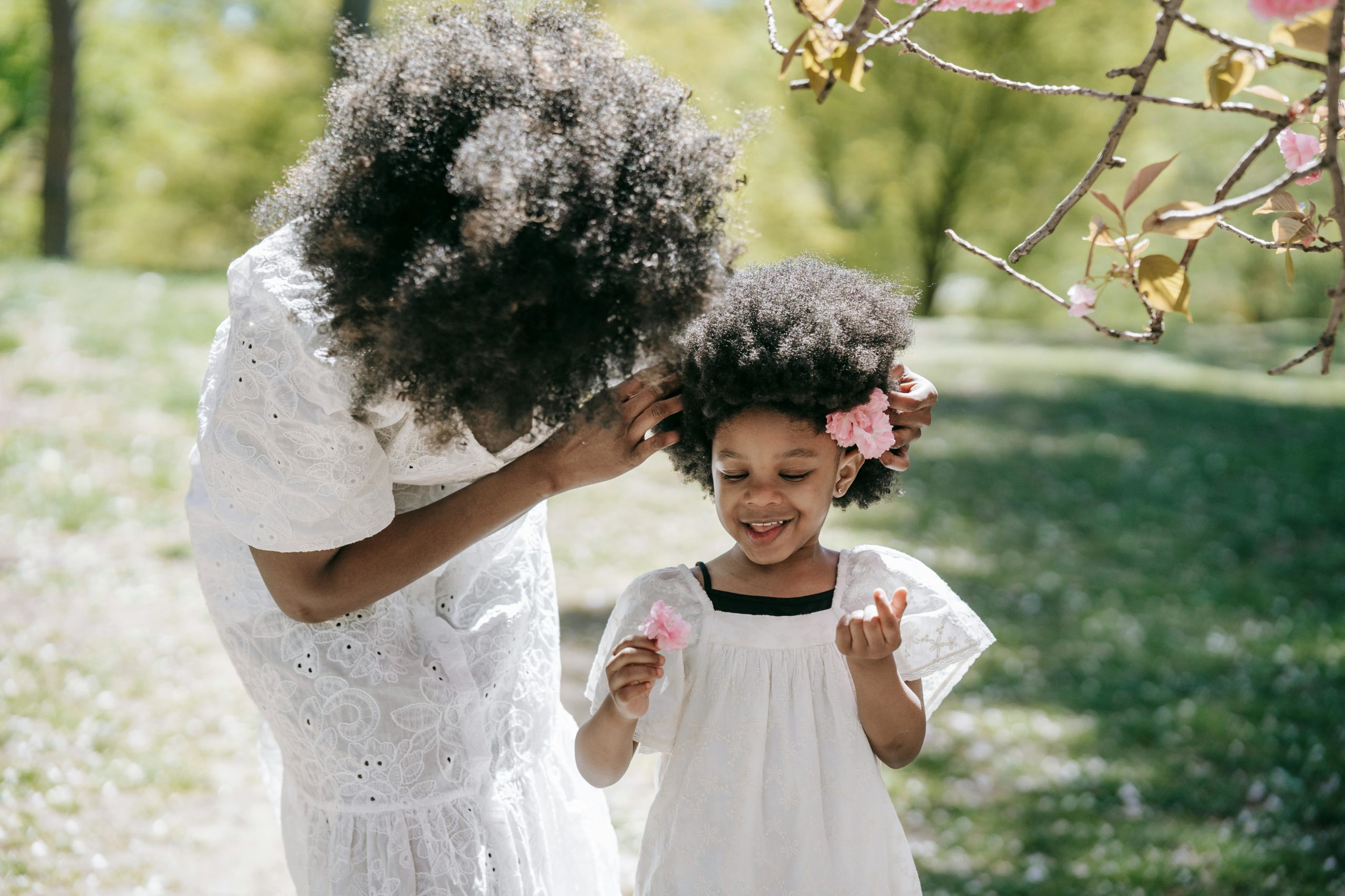 pexels barbara olsen 7880818